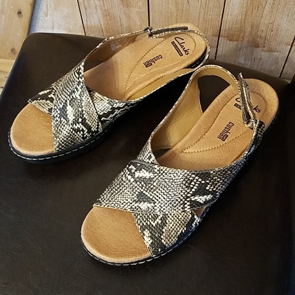 snakeskin clarks